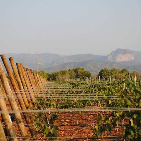 Weingut & Landhotel Can Davero Бинисалем Экстерьер фото