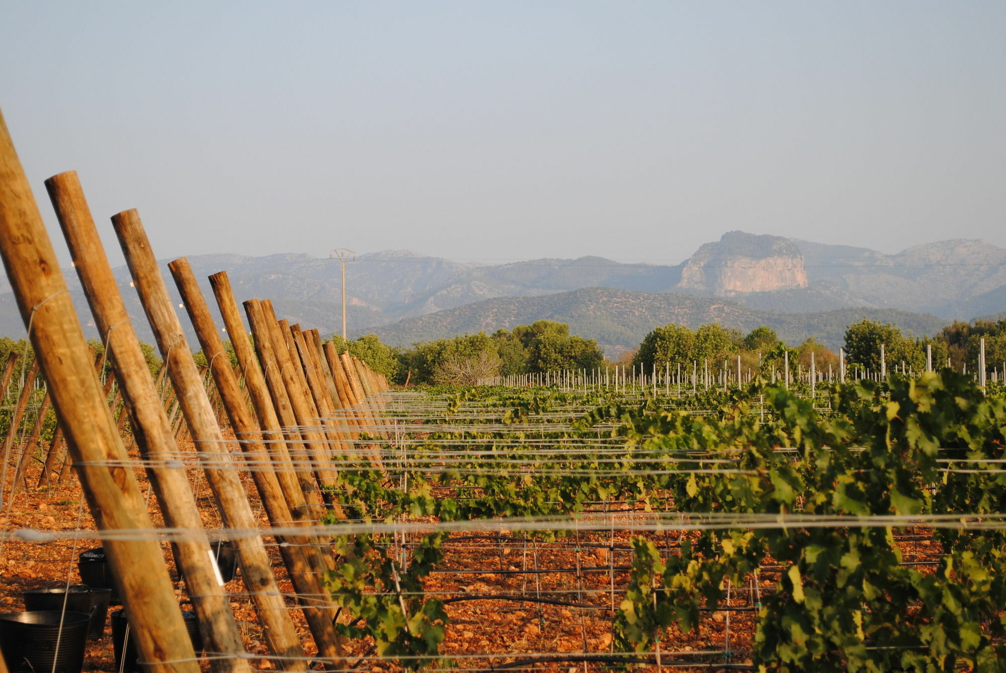 Weingut & Landhotel Can Davero Бинисалем Экстерьер фото