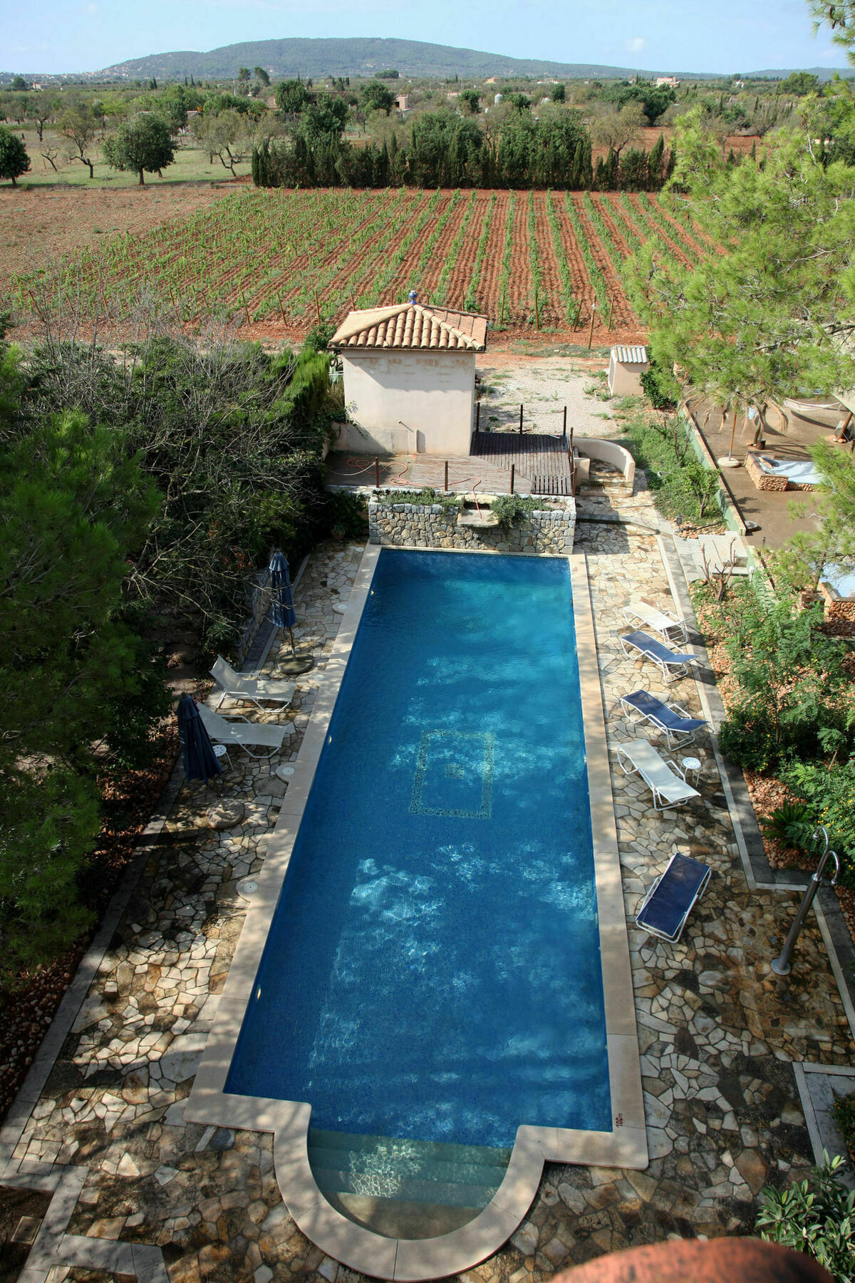 Weingut & Landhotel Can Davero Бинисалем Экстерьер фото