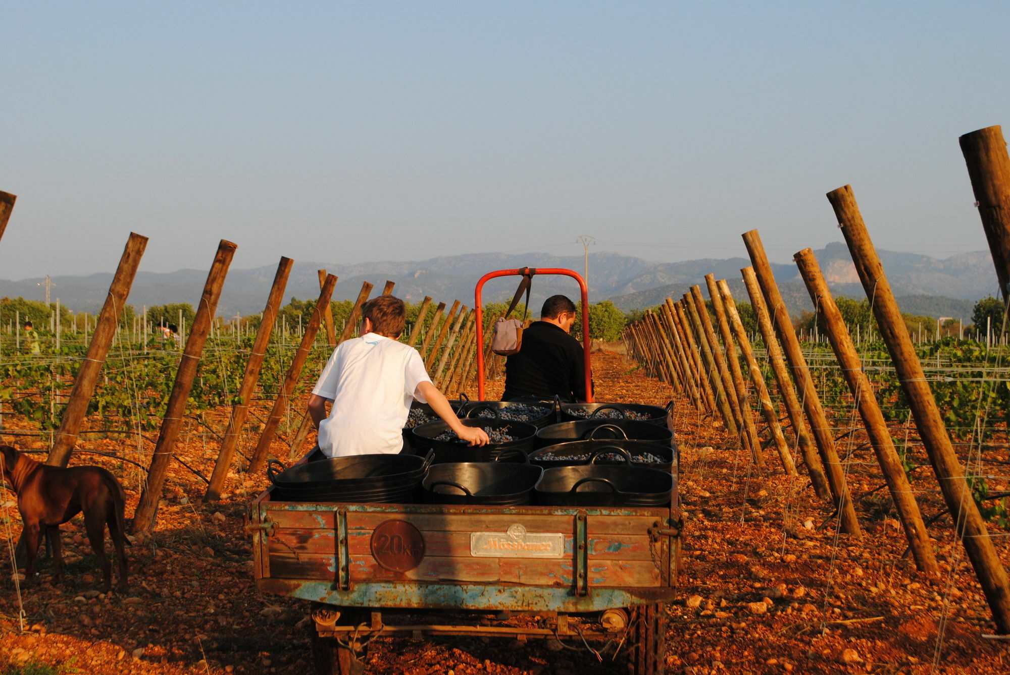 Weingut & Landhotel Can Davero Бинисалем Экстерьер фото