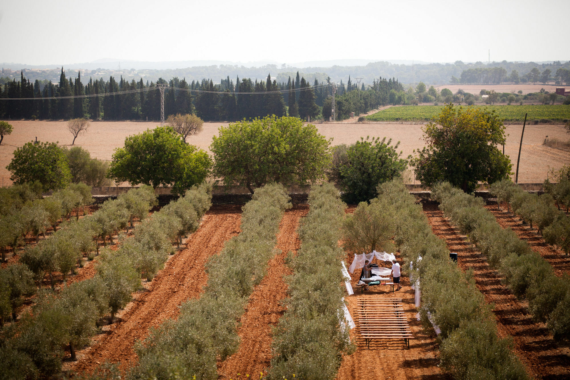 Weingut & Landhotel Can Davero Бинисалем Экстерьер фото